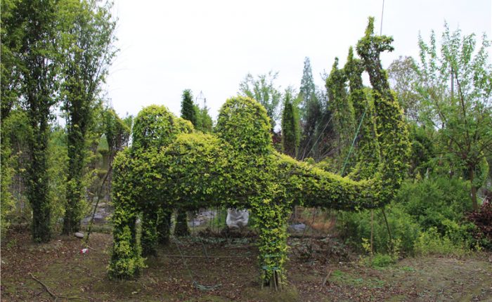 animal bonsai