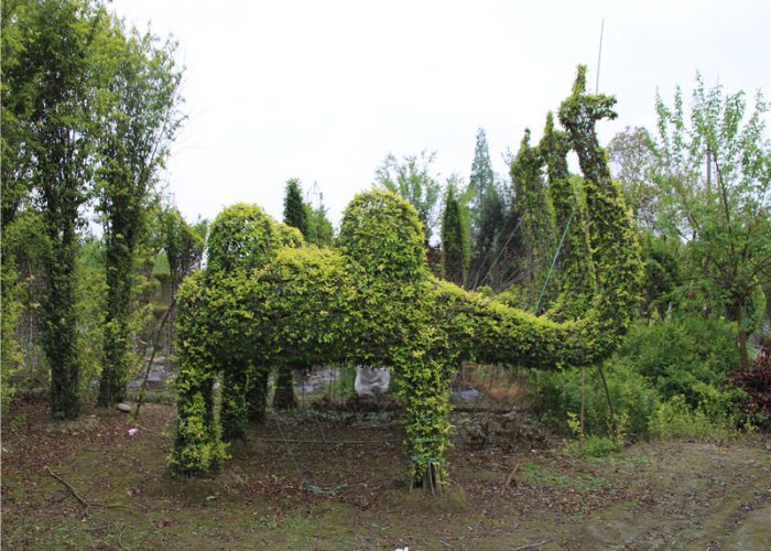 animal bonsai