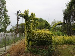 animal bonsai