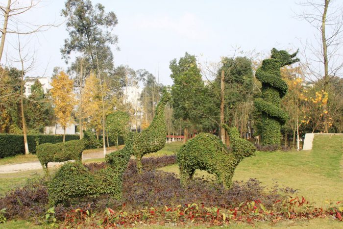 bonsai park scene