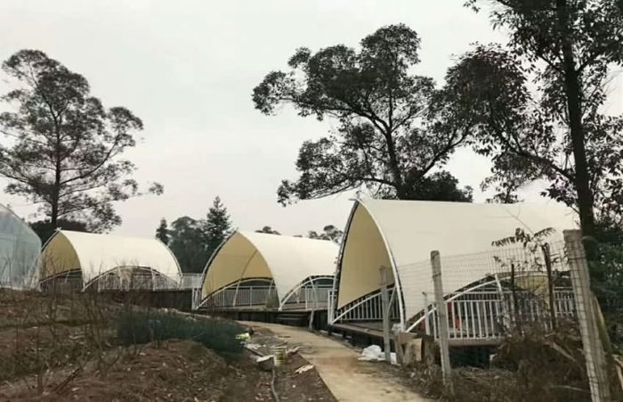 Arc Camping Tent in Outdoor Scenic Area