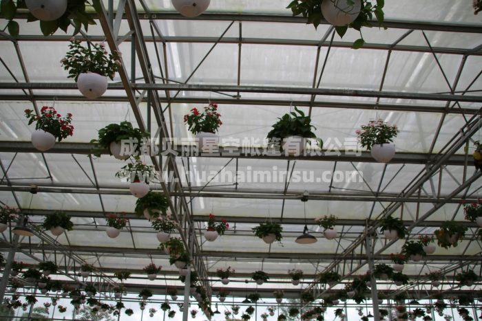 Intelligent large steel structure flower vegetable glass greenhouse