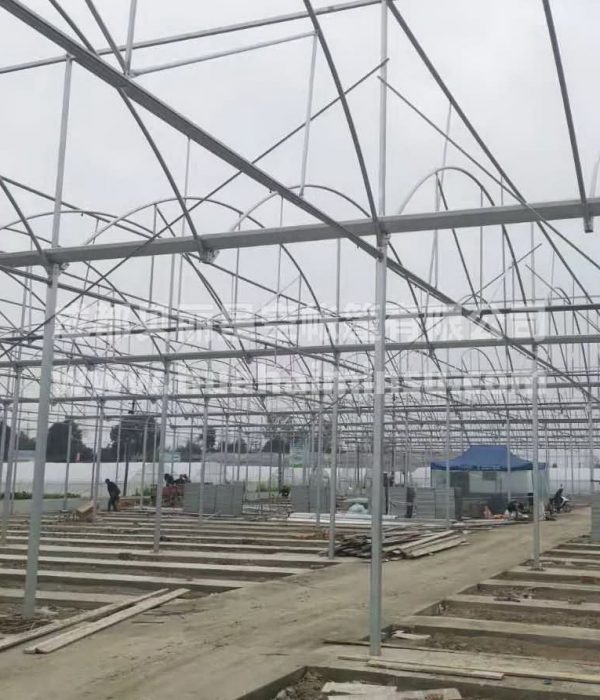 Intelligent large steel structure flower vegetable glass greenhouse