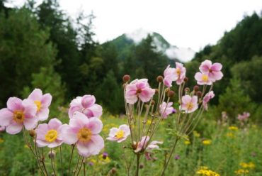 You can't miss view of Jiuzhaigou in your life, for there's no fairytale land other than it