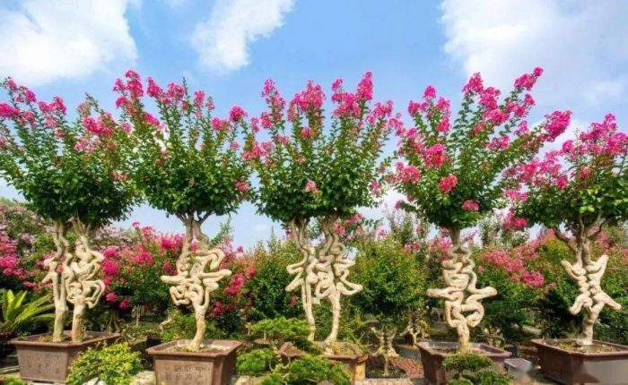 International horticultural exhibition 2024 Chengdu will open soon! What we can do for you?International horticultural exhibition 2024 Chengdu will open soon! What we can do for you?