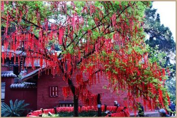 Wenquxing God blesses Chinese good results in exams, visit the temple and experience the culture
