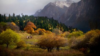 Feel Jiuzhaigou beauty, Ritz-Carlton Reserve in Rissai Valley offers you exquisite experience