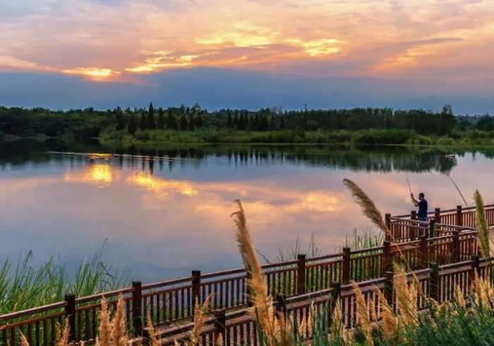 No worry needed for visiting the International Horticultural Exhibition 2024 Chengdu!No worry needed for visiting the International Horticultural Exhibition 2024 Chengdu!