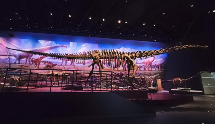 Chengdu City 3 Days Tour Special Offer 375$/Group