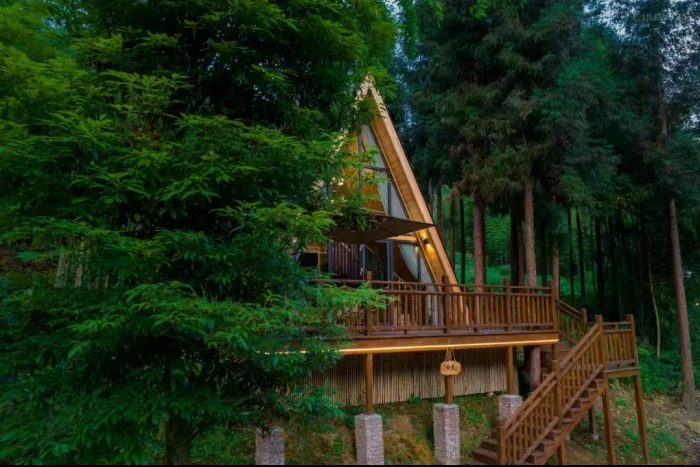 Colorful forest in Autumn, Vacation in hot spring resort, you may meet pandas in the mountain!