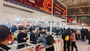 Attend International Exhibitions in Sichuan/Chengdu