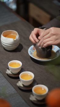 Plant dyeing course: in a beautiful traditional space learn natural plant dyeing !