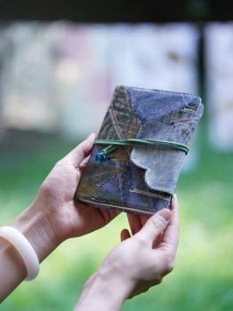 Plant dyeing course: in a beautiful traditional space learn natural plant dyeing !