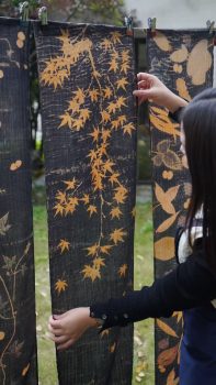 Plant dyeing course: in a beautiful traditional space learn natural plant dyeing !