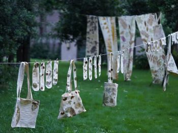 Plant dyeing course: in a beautiful traditional space learn natural plant dyeing !