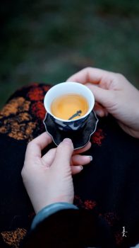 Chinese Tea Brewing Experience & Courses in Chengdu