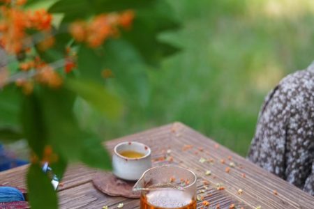 Chinese Tea Brewing Experience & Courses in Chengdu