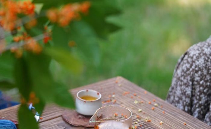 Chinese Tea Brewing Experience & Courses in Chengdu