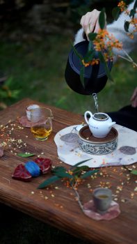 Chinese Tea Brewing Experience & Courses in Chengdu