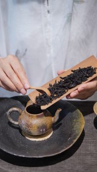 Chinese Tea Brewing Experience & Courses in Chengdu