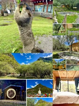 A Romantic and Impressive Honeymoon in China