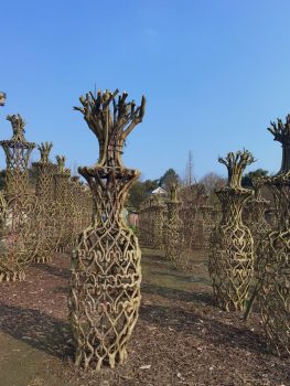 Bonsai Craft with Master Guide Rural Immersion in Chengdu