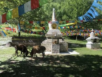 Danba: Sacred Faith & Timeless Jiarong Culture