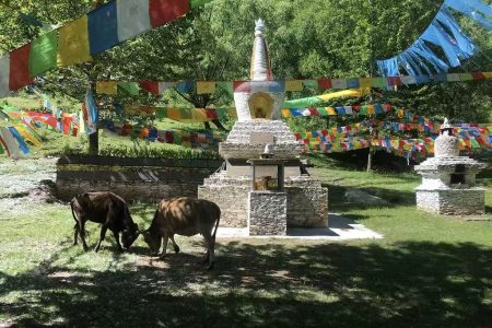 Danba: Sacred Faith & Timeless Jiarong Culture